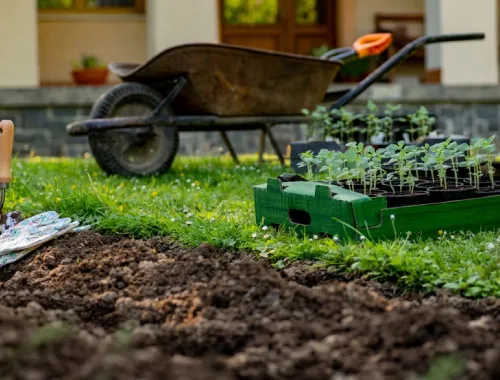 Eco Sustainable Landscaping in Gungahlin