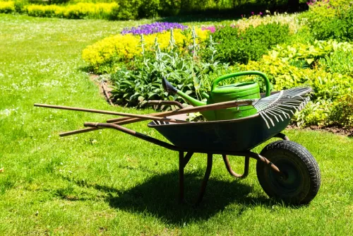 Landscaping exceptional service in Gungahlin