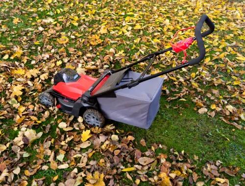 Mulch and Cleanup in Gungahlin