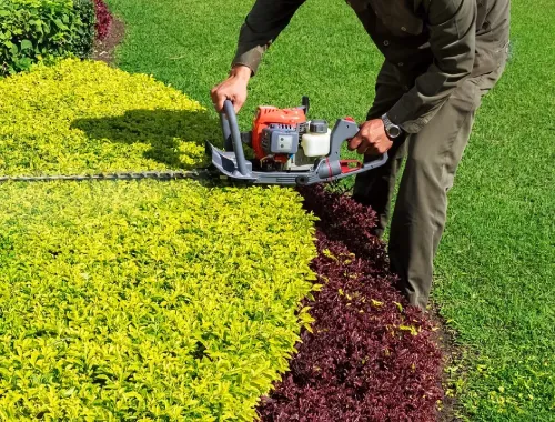 Professional Garden Care in Gungahlin