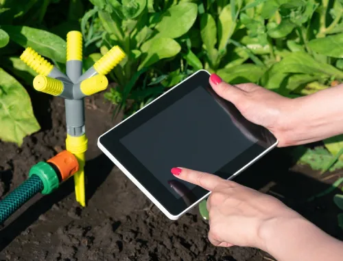 Smart Wifi Irrigation in Gungahlin