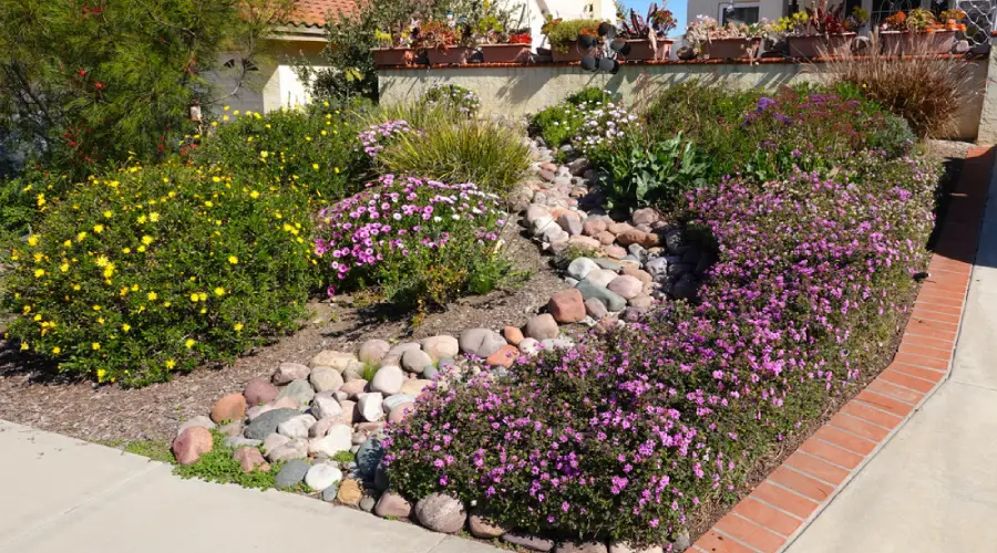 Stunning Native Plant Gardens for Homes in Gungahlin
