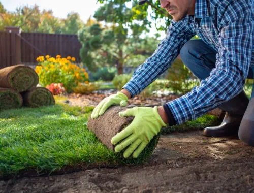 landscaping services in Gungahlin