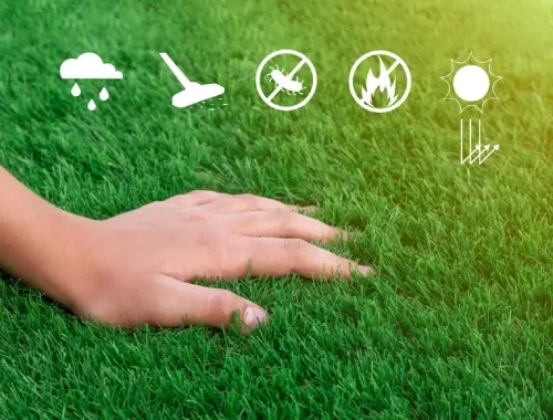 Artificial Grass Installation
