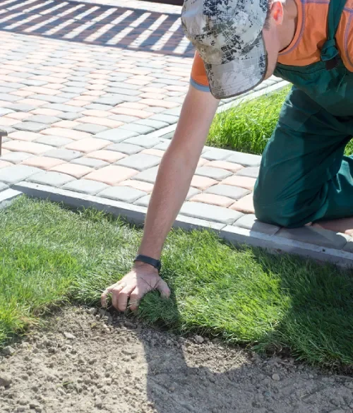 Creating Greener Gungahlin One Yard