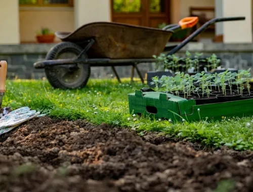 Eco Sustainable Landscaping in Gungahlin