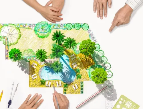 Landscape Design Consultation in Gungahlin