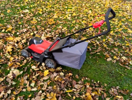 Mulch and Cleanup in Gungahlin