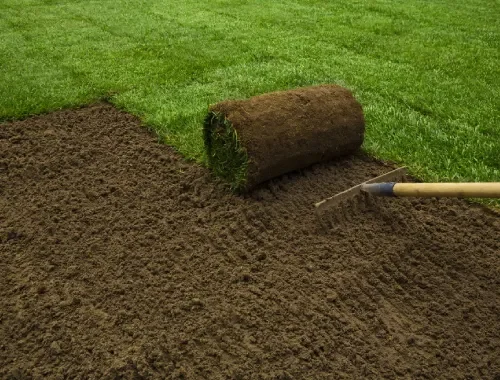 Natural Grass Installation
