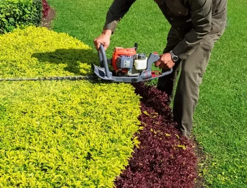 Professional Garden Care in Gungahlin