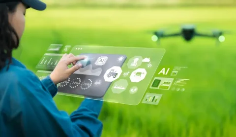 Smart Irrigation Systems Save Water in Gungahlin