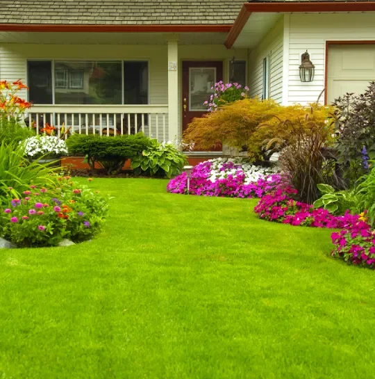 Why KGF Landscaping And Gardening