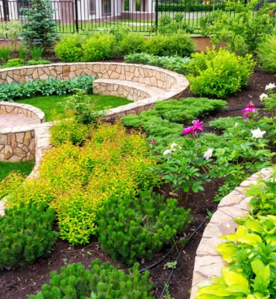 expert landscape design recommendations for your Gungahlin