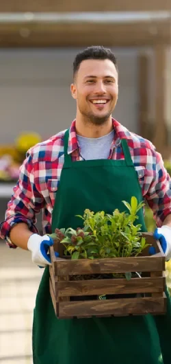 landscaping and gardening services across Gungahlin